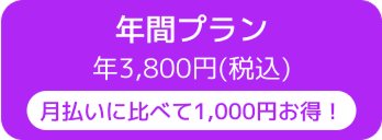 年間プラン