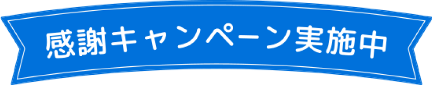 感謝キャンペーンの詳細